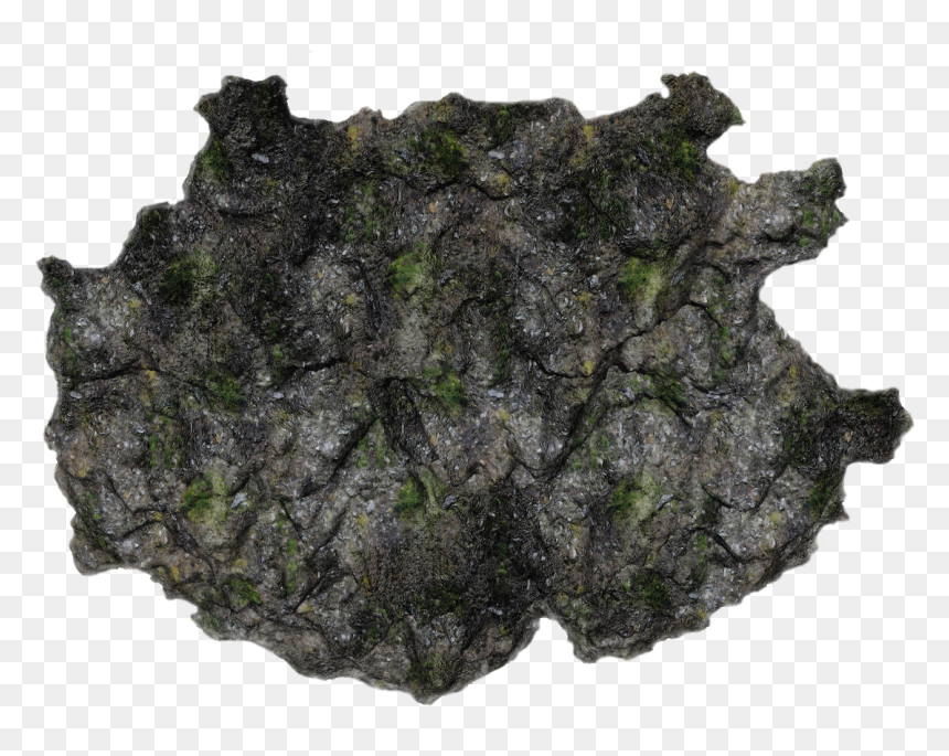 05 854k Moss Sc1 06 Feb - Igneous Rock, HD Png Download - moss texture png