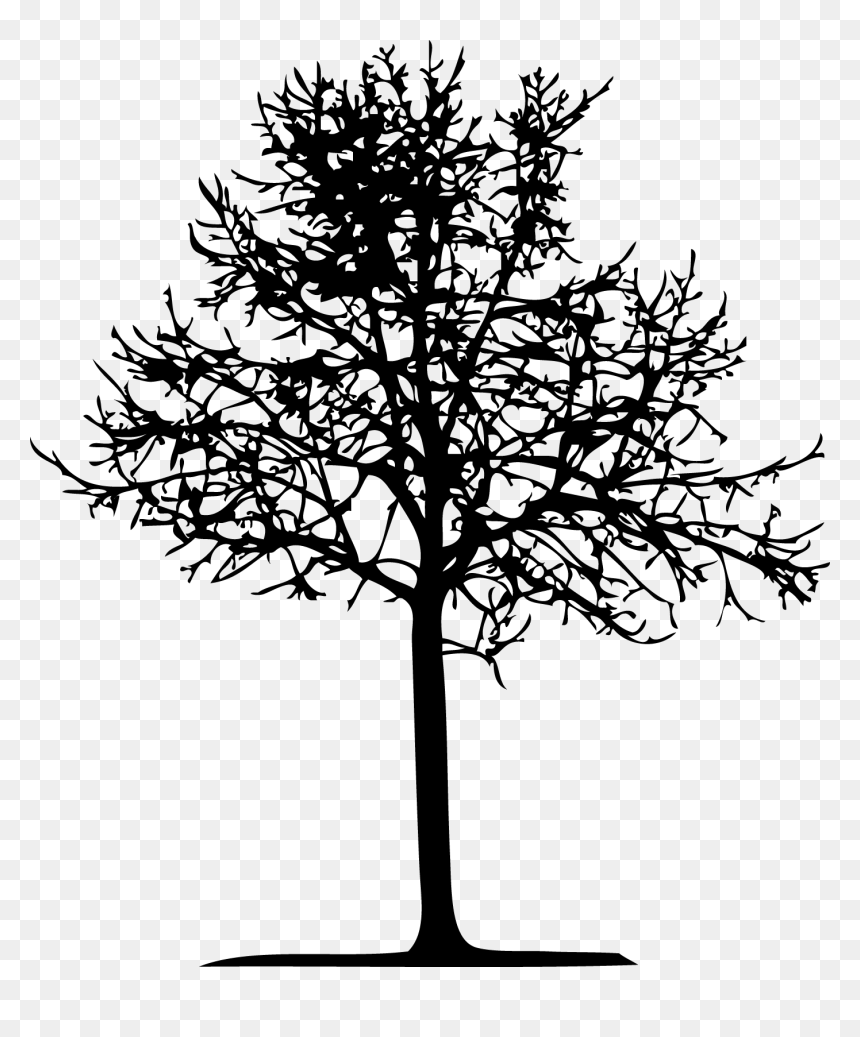 Silhouette, HD Png Download - tree illustration png