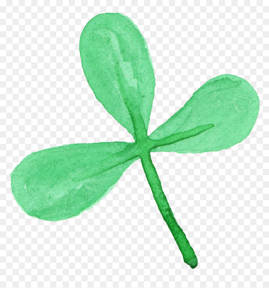Mint Leaves Png, Transparent Png - mint leaves png