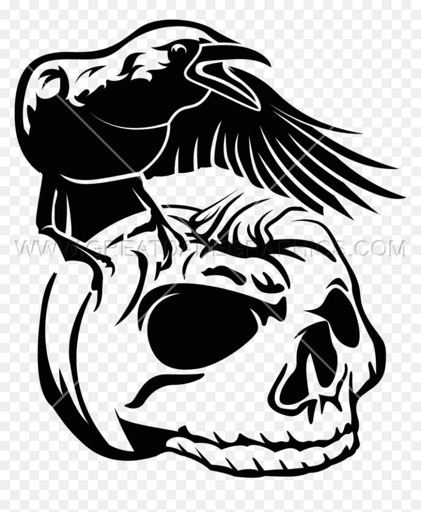 Crow Pumpkin Skull - Crow On Skull Clipart, HD Png Download - skull drawing png