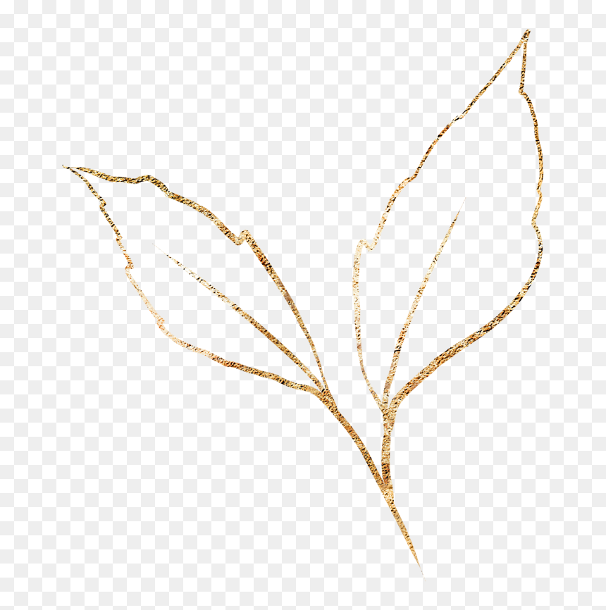 Drawing, HD Png Download - gold leaves png