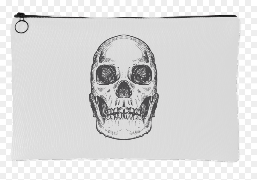 Hand Drawn Anatomical Human Skull - Skull, HD Png Download - skull drawing png