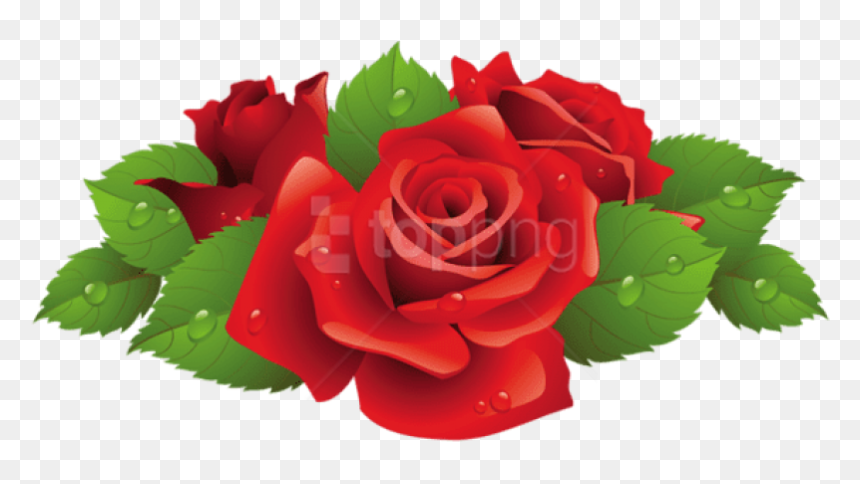 Roses Vector , Png Download - Blue Roses Clipart, Transparent Png - roses vector png
