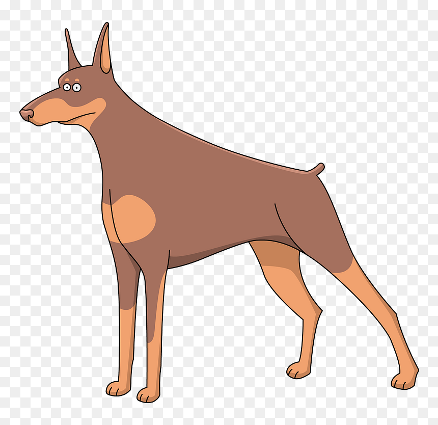 Doberman Clipart - Great Dane Cartoon Drawing, HD Png Download - doberman png