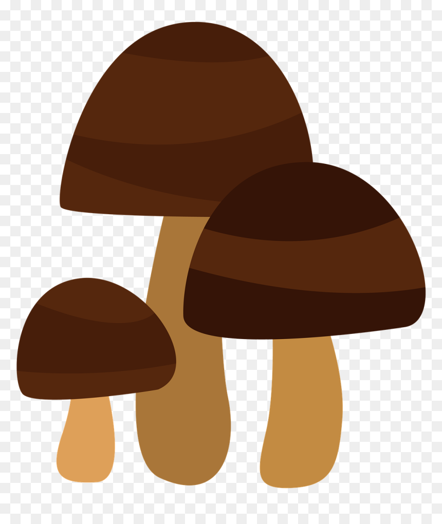 Shiitake, HD Png Download - moss texture png