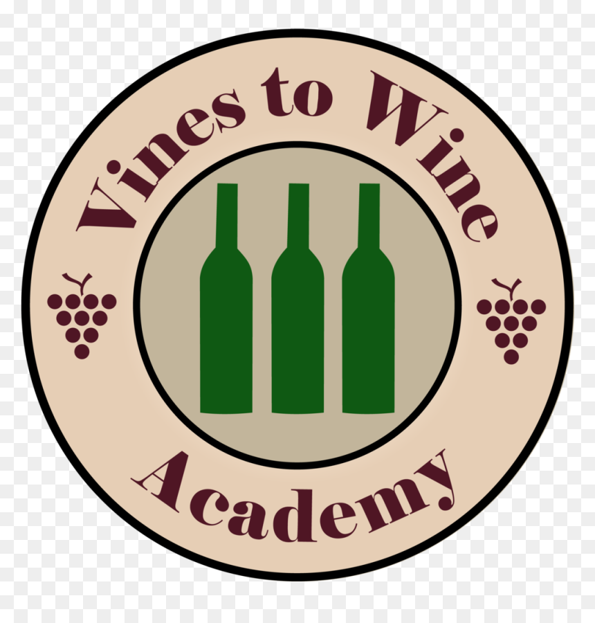 Green Vines Png , Png Download - Circle, Transparent Png - green vines png