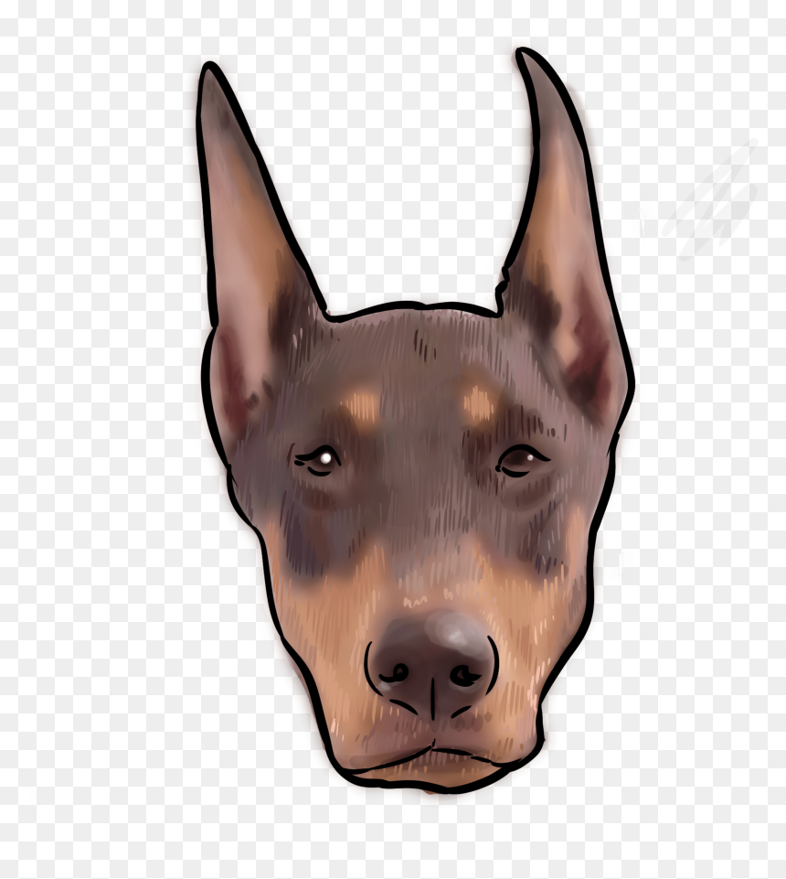 Dobermann, HD Png Download - doberman png
