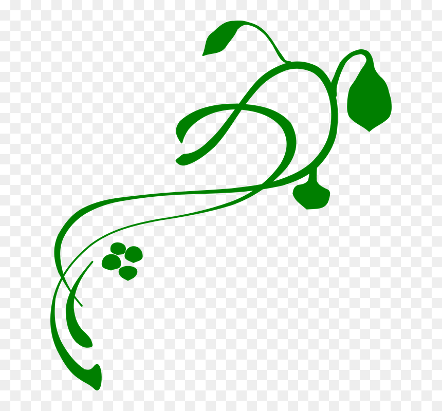 Vines Clip Art, HD Png Download - vine plant png