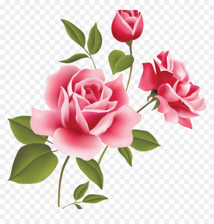 Pink Rose Clipart Pink Rose Art Picture Clipart Clipart - Rose Pink Flower, HD Png Download - roses vector png