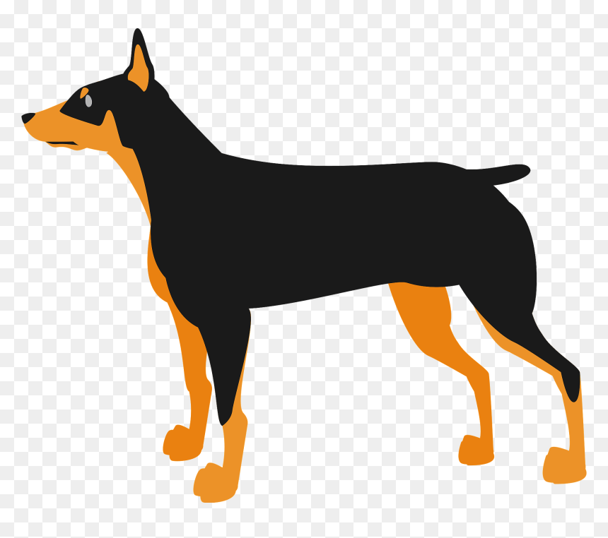 Clip Art, HD Png Download - doberman png