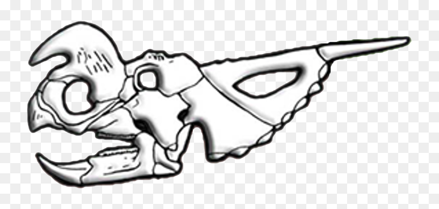 Einiosaurus Skull Diagram - Sketch, HD Png Download - skull drawing png