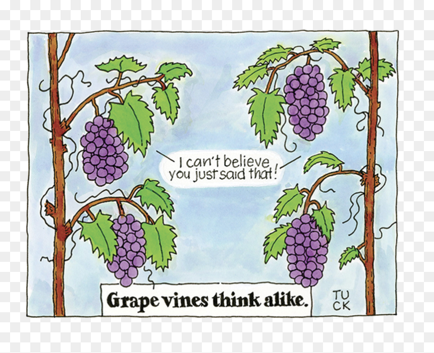 Grape Vines, HD Png Download - green vines png