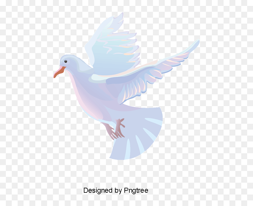 Transparent Paloma Clipart - Pigeons And Doves, HD Png Download - palomas png
