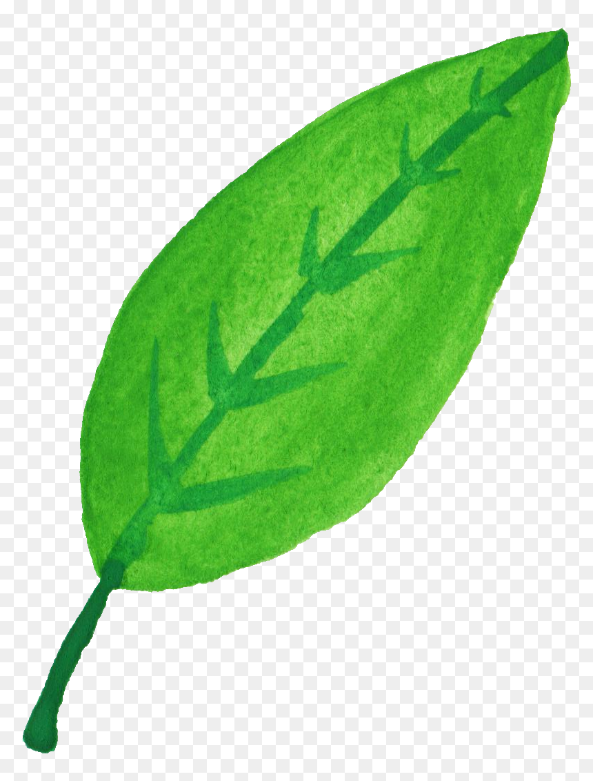 Mint Leaves Png, Transparent Png - mint leaves png