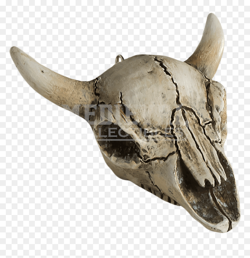 Cow Skull Png - Skull, Transparent Png - skull drawing png