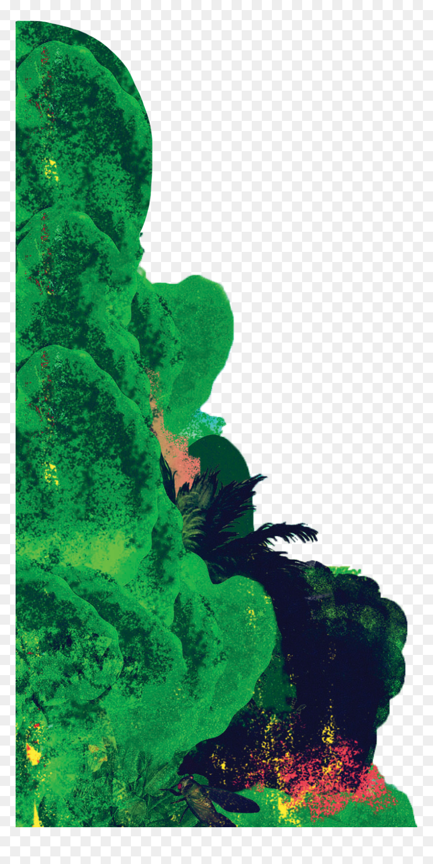 Meet The Band - Tree, HD Png Download - algae png