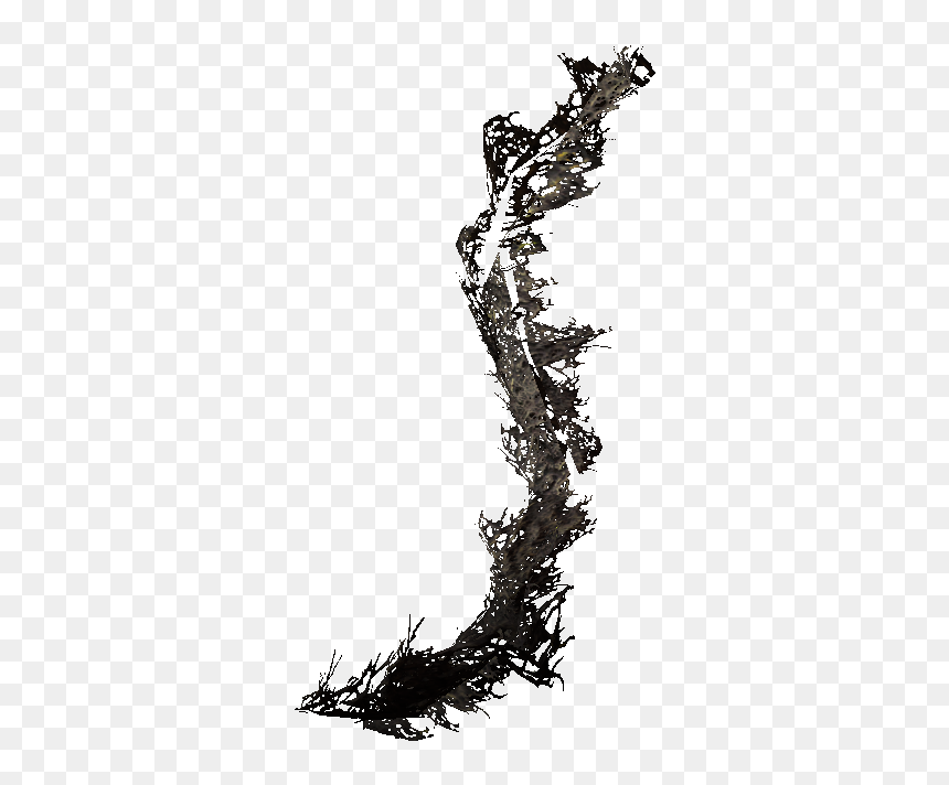 Emperorparasolmoss - The Elder Scrolls V: Skyrim, HD Png Download - moss texture png