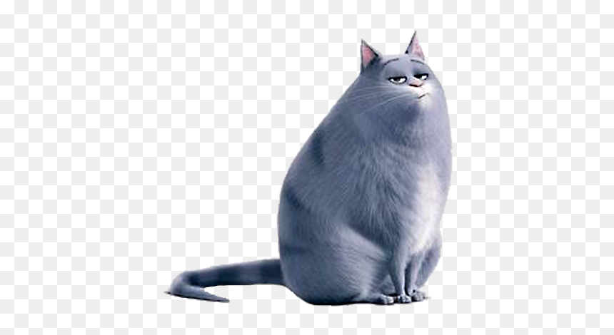 Jack Russell Terrier Universal Pictures Pet Film Cinema - Secret Life Of Pets Cat Name, HD Png Download - fat cat png