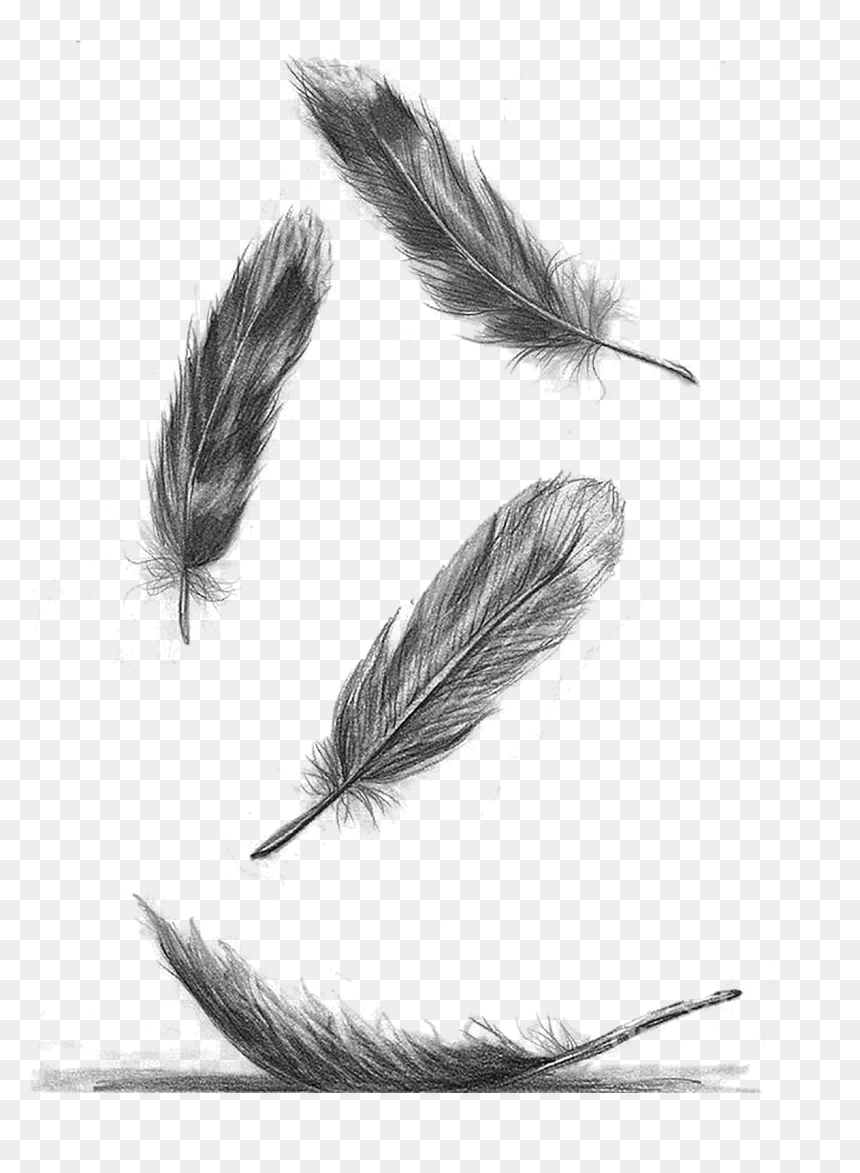 Tatuaje De Plumas Cayendo, HD Png Download - falling feathers png
