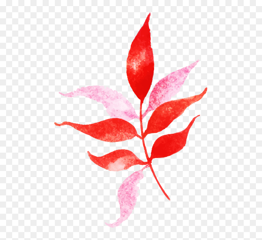 Floral Design, HD Png Download - rose petals falling png