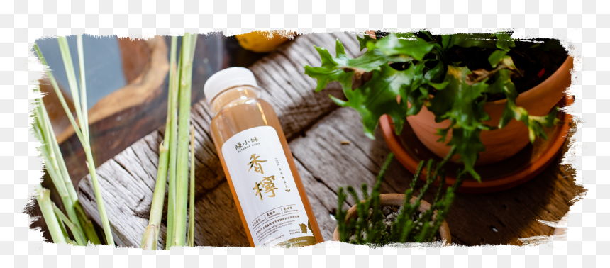 Lemongrass Png, Transparent Png - lemongrass png