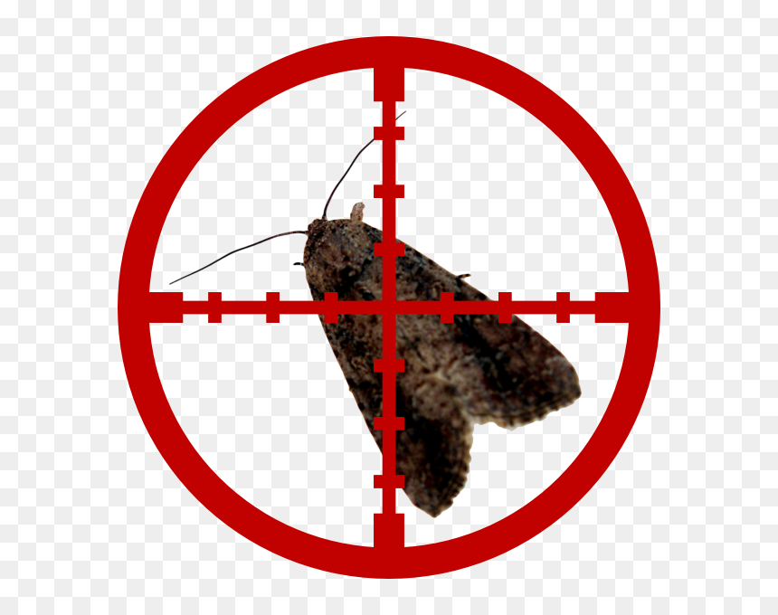Moths - Crosshair Png, Transparent Png - red crosshair png
