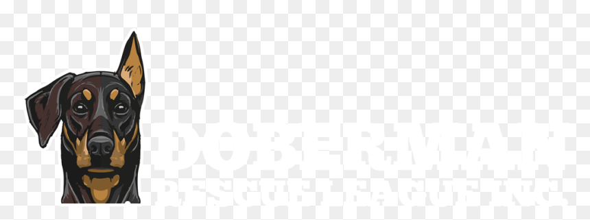 Pattern, HD Png Download - doberman png