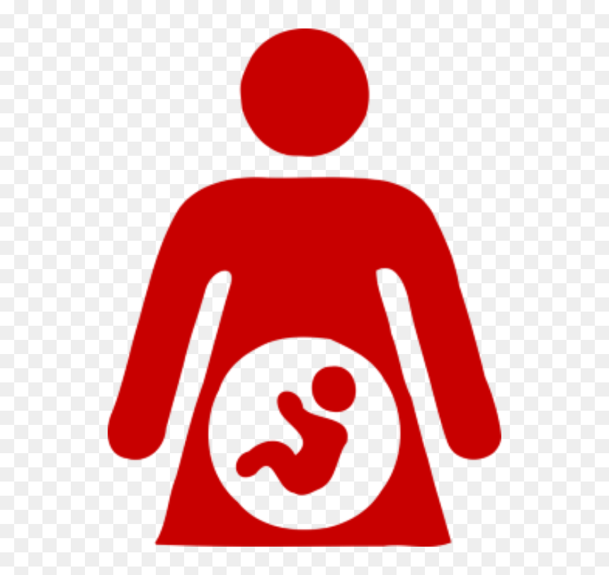 Birth Cost Recovery Is A Practice Allowed, But Not - Transparent Pregnant Woman Clipart, HD Png Download - not allowed sign png