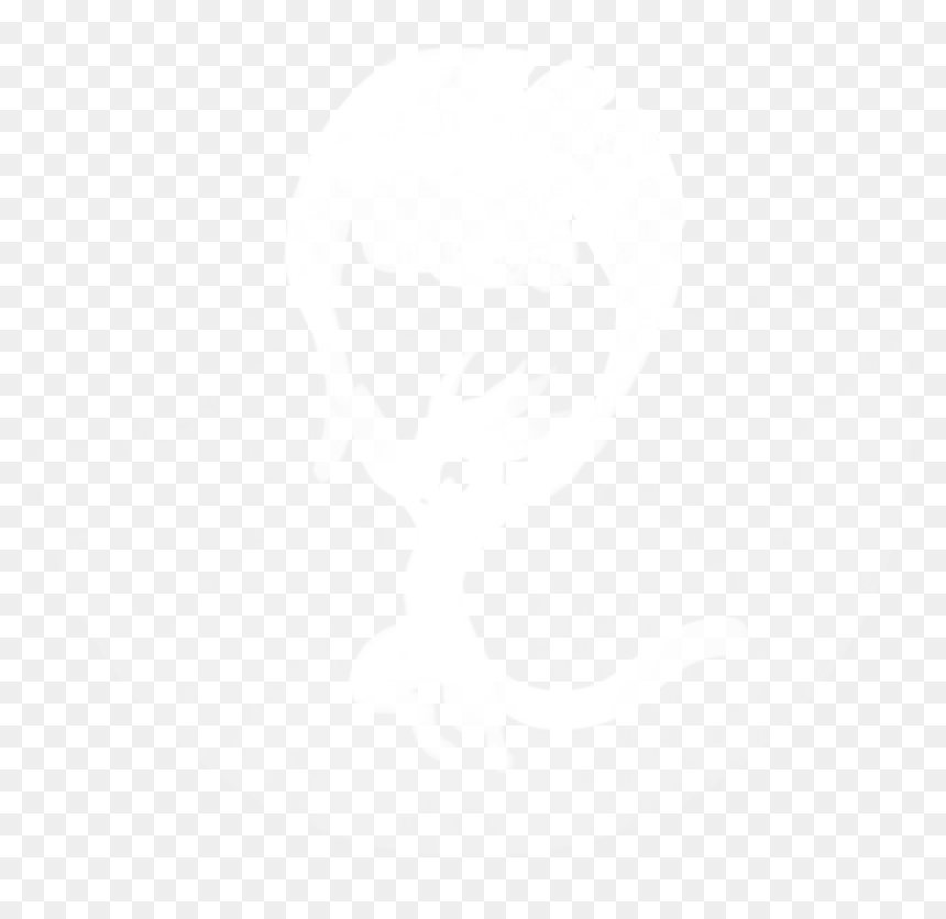 The Ori Wiki - Darkness, HD Png Download - falling feathers png