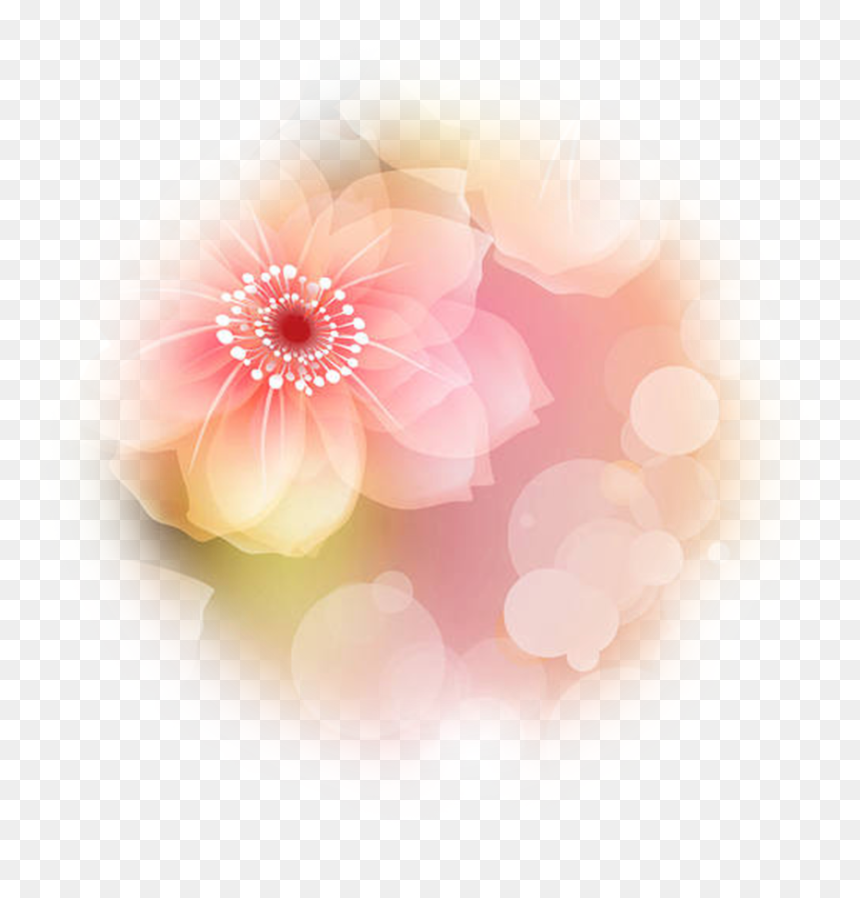Point Of Light Png - Dahlia, Transparent Png - point of light png