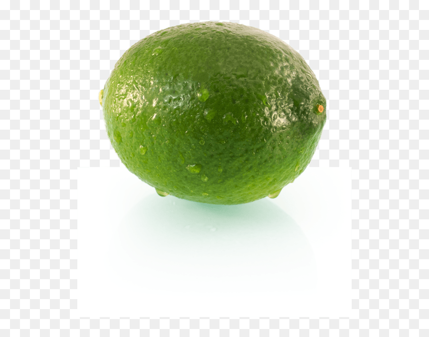 Te Puna Limes Story Growing Superior Fresh Delivered - Persian Lime, HD Png Download - limes png