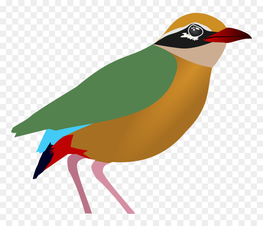Penguin, HD Png Download - indian feather png