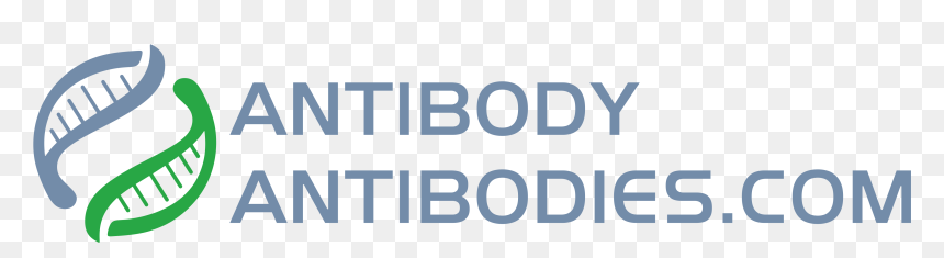 Graphics, HD Png Download - antibody png