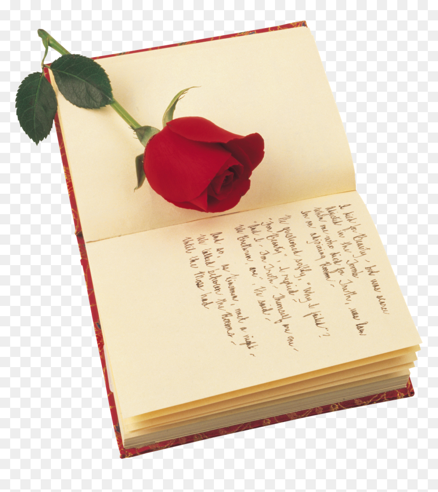 Transparent Rosas Rojas Png - Rose St Georges Day, Png Download - rosas rojas png