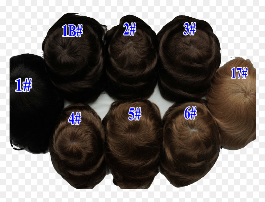 Transparent Revive Clipart - Toupée, HD Png Download - male wig png
