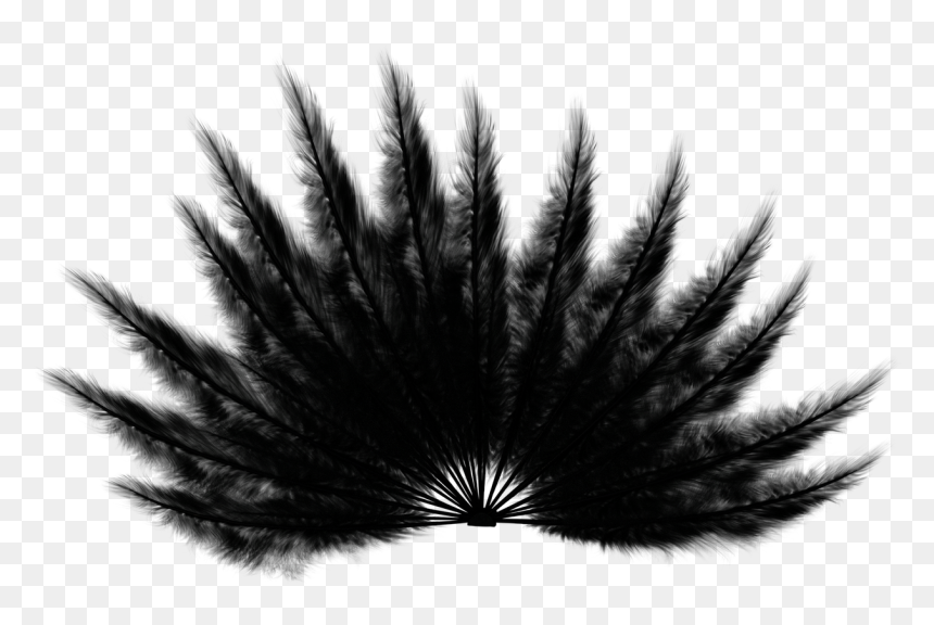 Birds, HD Png Download - falling feathers png