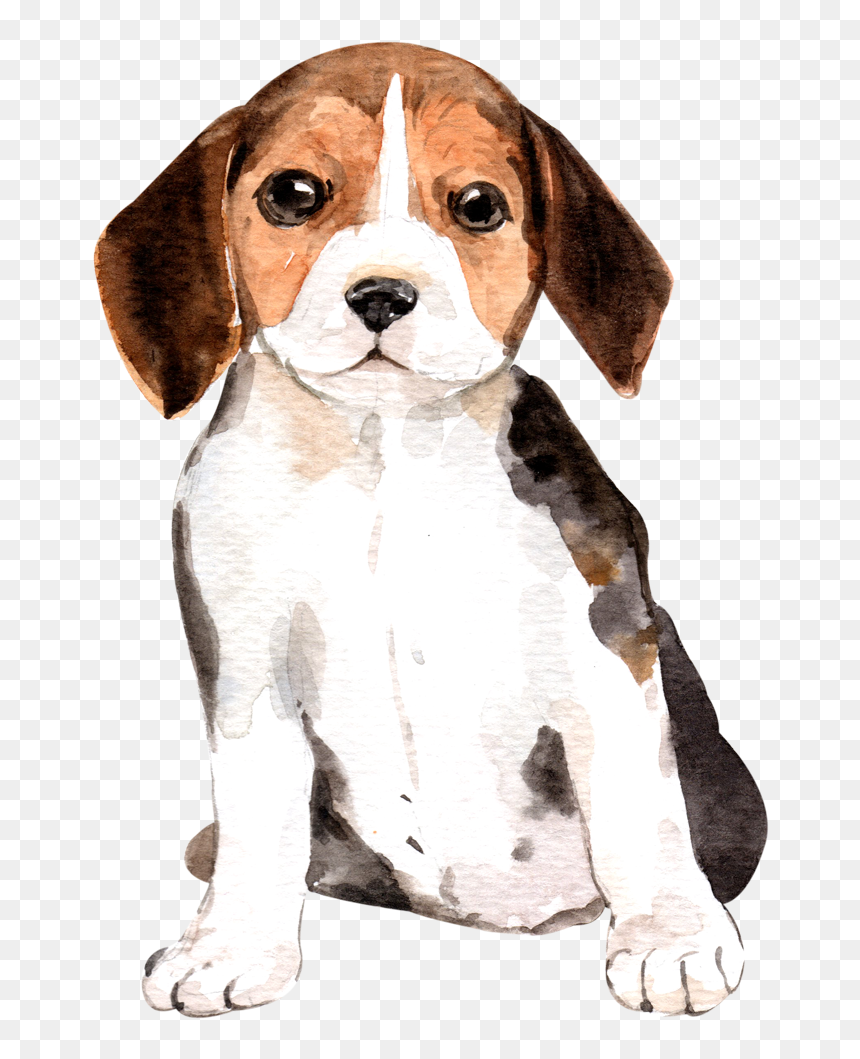 Beagle-harrier, HD Png Download - beagle png