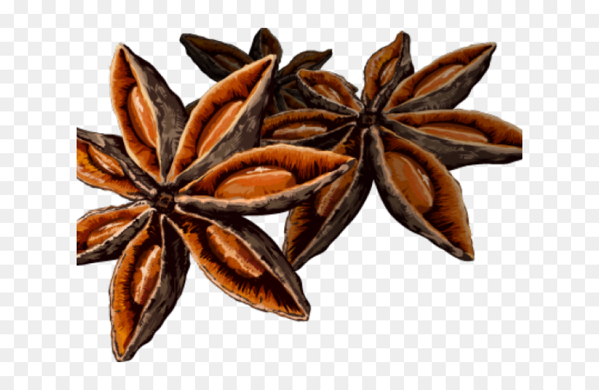 Spice Star Anise Png Clipart , Png Download - Star Of Anise Png, Transparent Png - spice png