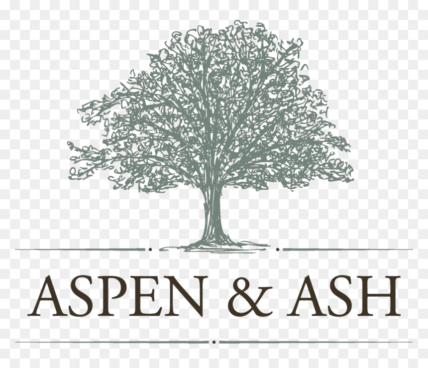 Aspen And Ash - Veritas International Business School, HD Png Download - aspen tree png