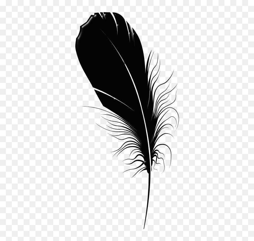 Clip Art, HD Png Download - black feathers png