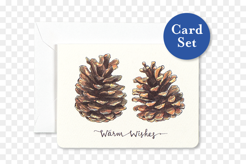Pinecones Warm Wishes Mini Card Set Of - Dj Cam Loa Project, HD Png Download - pine cones png