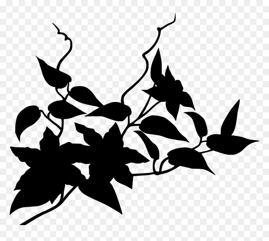 Png De Flores Enredaderas, Transparent Png - vine texture png