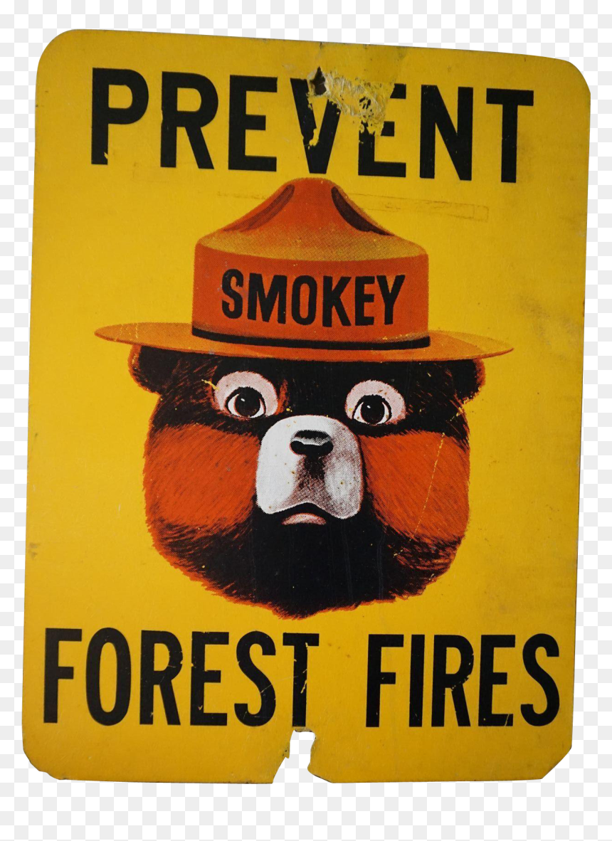 Smokey The Bear Png, Transparent Png - smokey the bear png