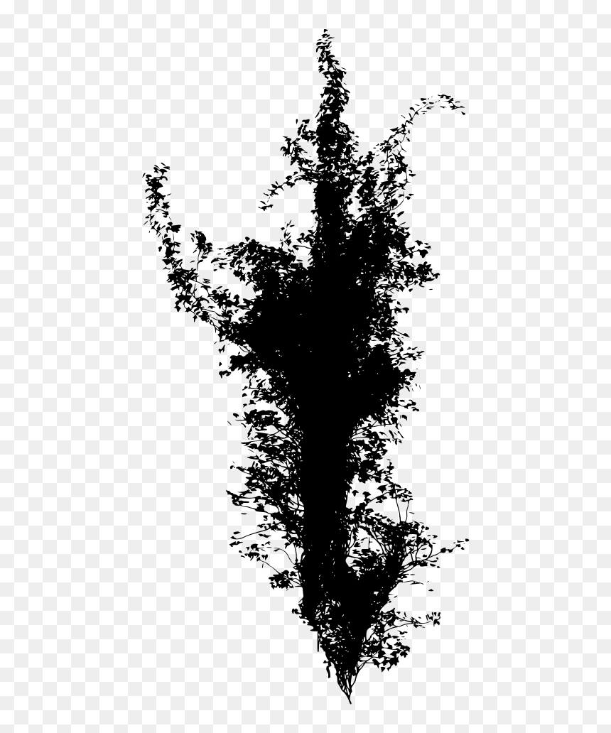 Portable Network Graphics, HD Png Download - ivy texture png