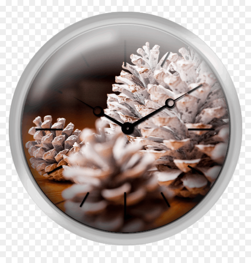 Close Up Of Painted Pine Cones - Wall Clock, HD Png Download - pine cones png