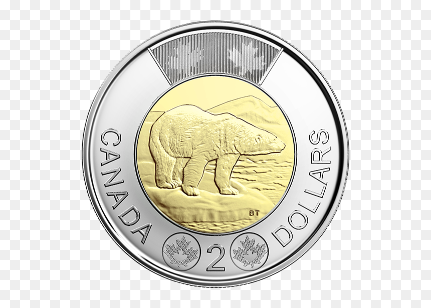 Money Roll Drawing A T Paintingvalley Com Explore - Canadian Toonie, HD Png Download - money roll png