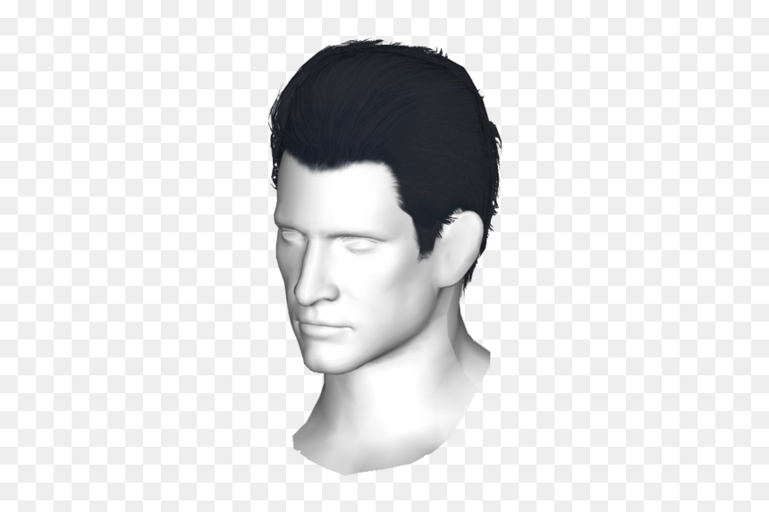 Pompadour Wig Png - Human, Transparent Png - male wig png