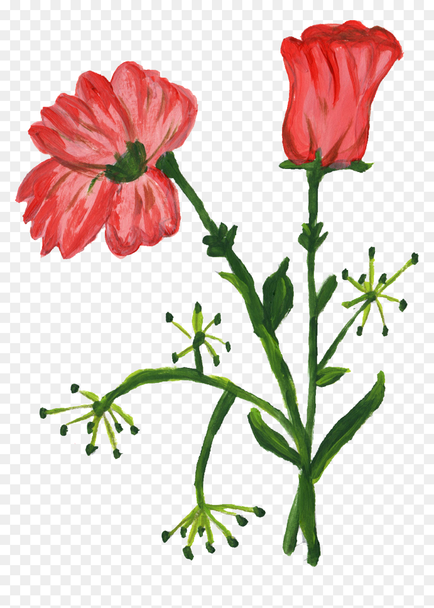 Flower Plant Png, Transparent Png - flower plant png