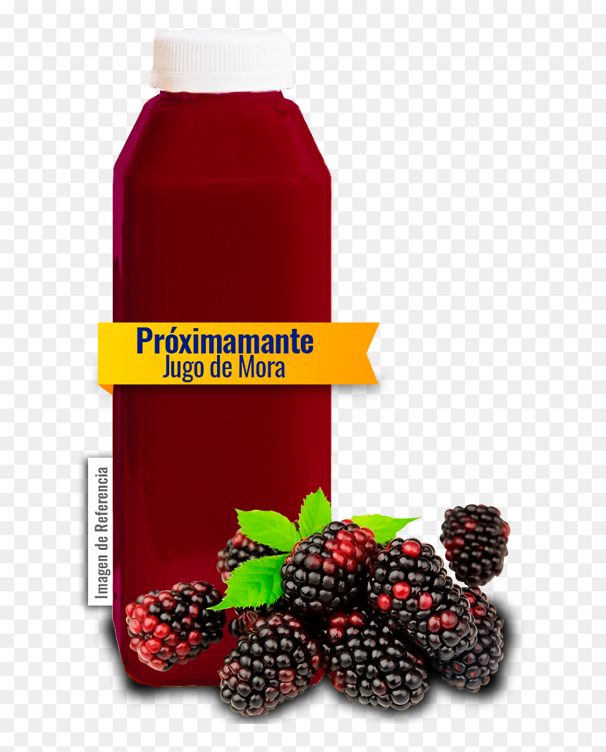 Jugo De Mora En Botella, HD Png Download - jugos naturales png