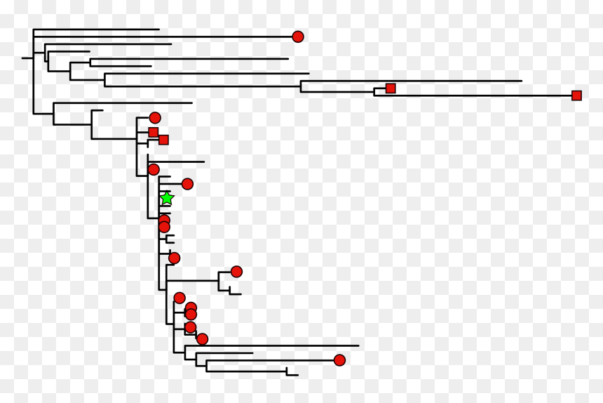 Diagram, HD Png Download - antibody png